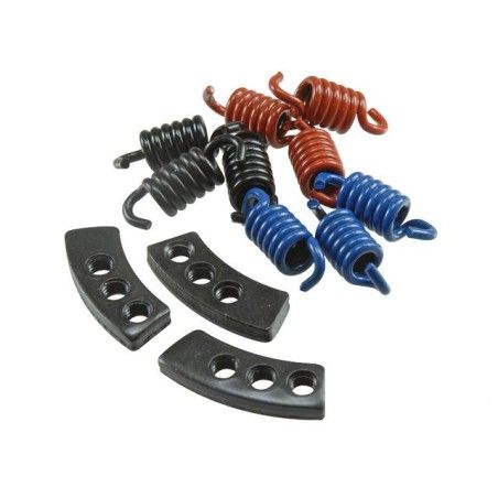 Serie molle MALOSSI MHR Delta/Fly clutch