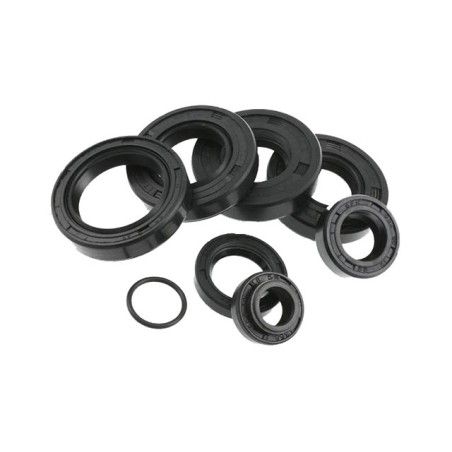 Serie paraolio motore MOTOFORCE x Minarelli AM6