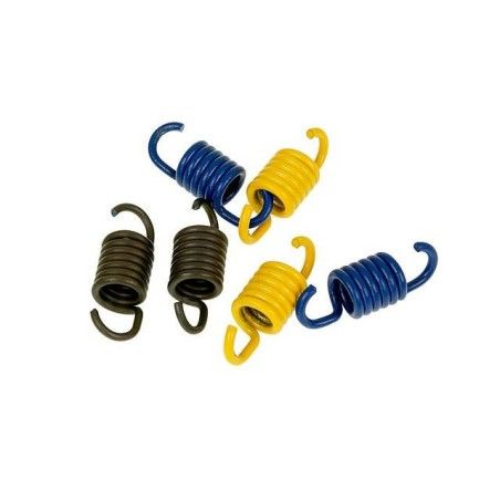 Set molle POLINI x frizione Minarelli 2 ceppi