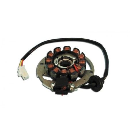 Statore DUCATI 12 Poli x Malaguti 50 euro 2-2.3