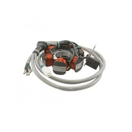 Statore RMS x Piaggio/Gilera