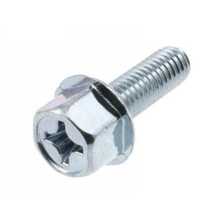 Vite RMS M6x1 (chiave 10 mm) x scarico cilindro Minarelli