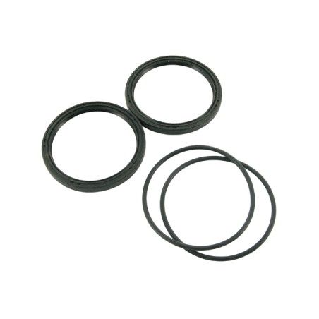 Kit paraoli e OR x correttore POLINI Piaggio-Suzuki