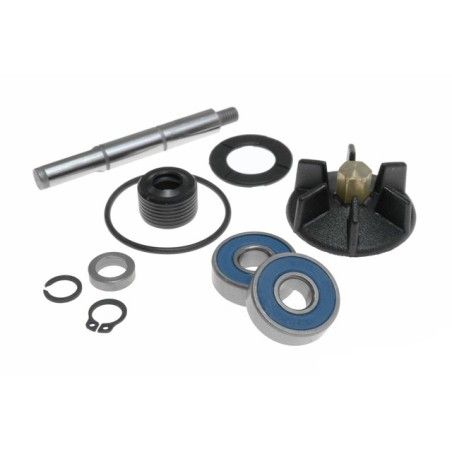Kit revisione pompa acqua RMS x Piaggio-Gilera