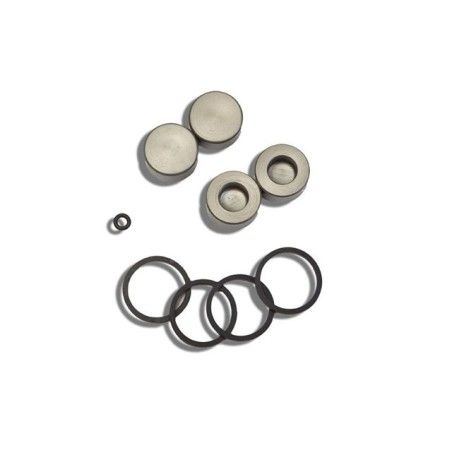 Kit revisione x pinza freno 4 pistoncini AJP Ø 25mm