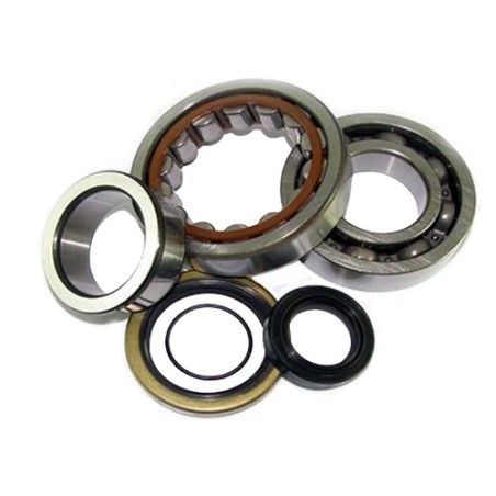Kit cuscinetti e paraoli HOT RODS x motore KTM 125 dal 01 - 17
