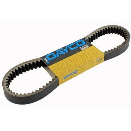Cinghia DAYCO in Kevlar x Piaggio-Gilera braccio lungo