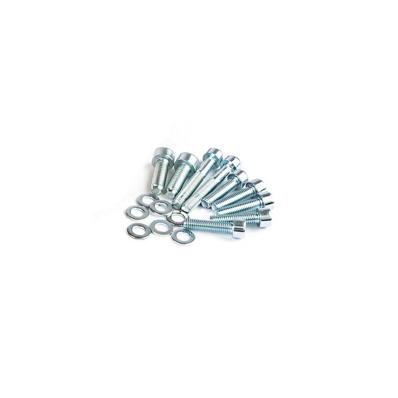 Set viti per accensione MALOSSI x Minarelli 5518269 - 5518275