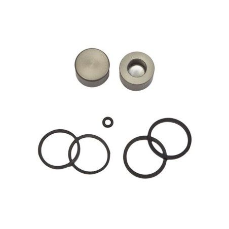 Kit revisione x pinza freno AJP cilindretti  Ø 25x15mm