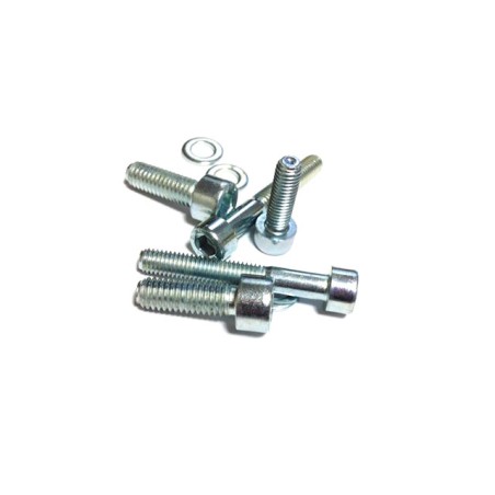 Set viti per accensione MALOSSI Scooter Selettra