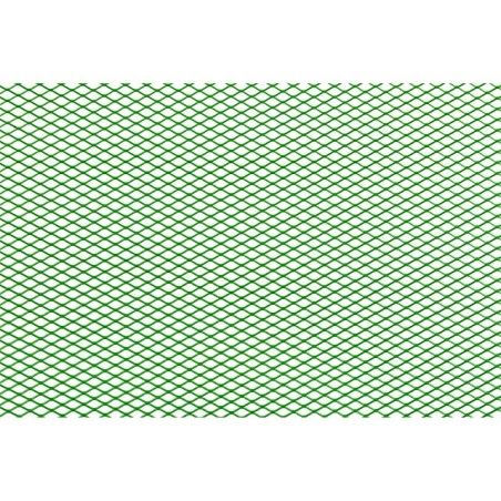 Griglia Racing STR8 verde 30x30cm