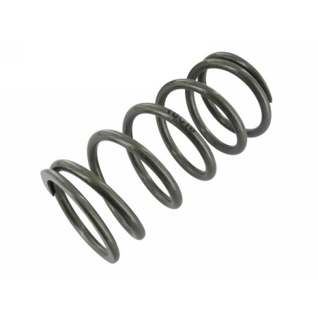 Molla ammortizzatore anteriore STAGE6 R/T x Piaggio Zip SP 100LB