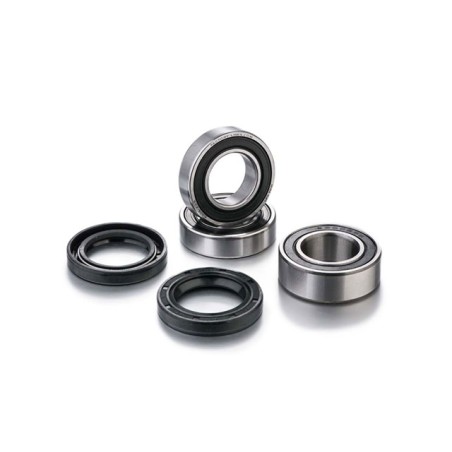 Kit cuscinetti e paraoli ruota posteriore FACTORY LINKS x Sherco