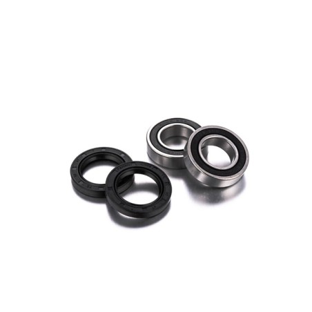 Kit cuscinetti e paraoli ruota posteriore FACTORY LINKS x Sherco 2024