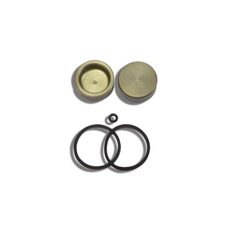 Kit revisione x pinza freno AJP cilindretti  Ø 32x13mm