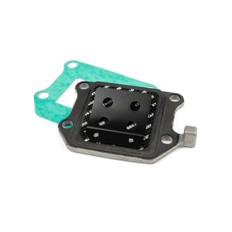 Valvola lamellare STAGE6 con lamella monopetalo in carbonio