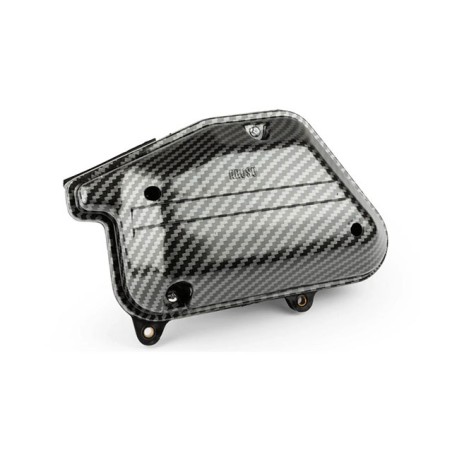 Air filter box MINARELLI Vertical up to 2004 carbon look