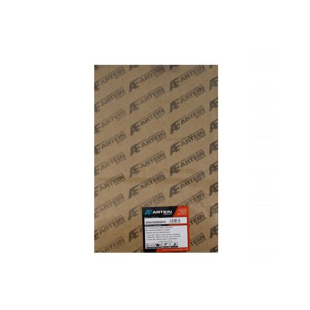 Foglio ARTEIN in carta 30x45cm guarnizioni  spessore 0,30 mm