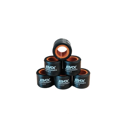 Rulli variatore EVOK 19x15,5 - 4,50gr