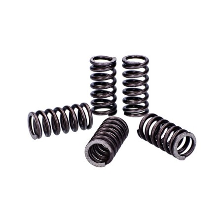 Reinforced spring series 110 kg MALOSSI