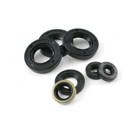 Serie paraolio motore MOTOFORCE x Derbi euro 3