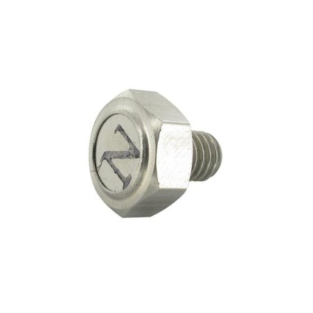 Vite magnetica KOSO x disco freno M6x1,0x12,6mm